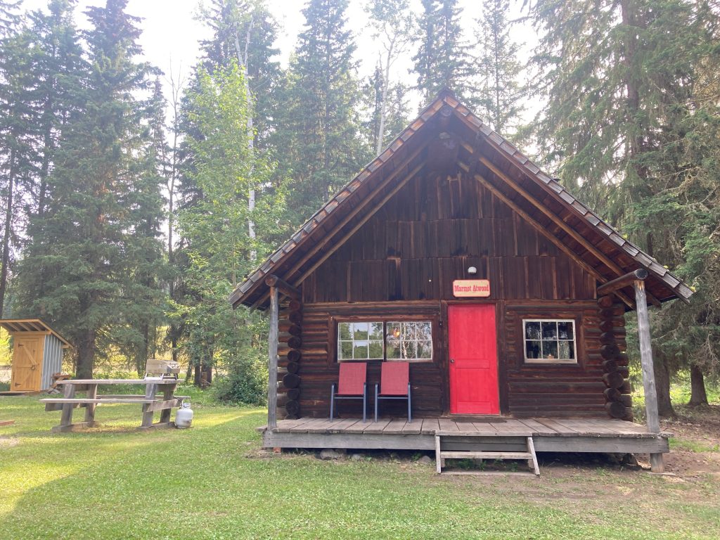 017-Laughing Raven (1)